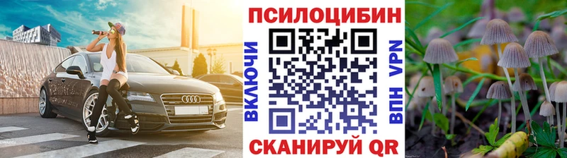 Купить закладки  Богородицк  Псилоцибиновые грибы мухоморы 